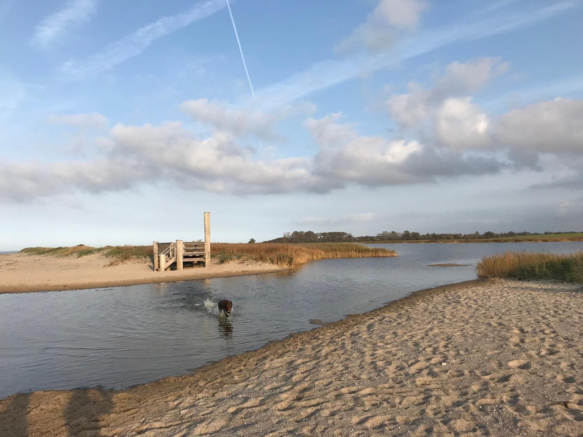 Ferienhaus Nele Ostseebad Kühlungsborn エクステリア 写真
